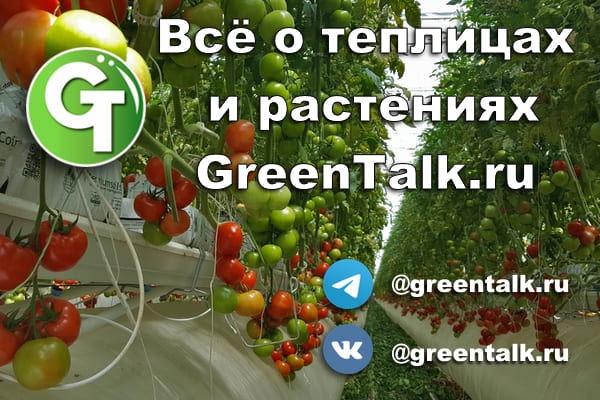 Greentalk ЮГАГРО 2022