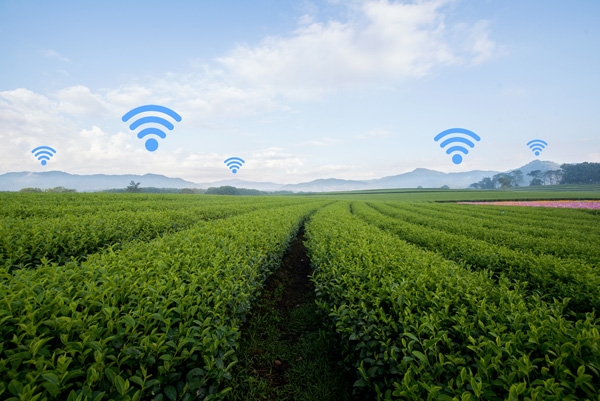 A field with Wi-Fi signals representing the Internet of Things in agricultural machinery
