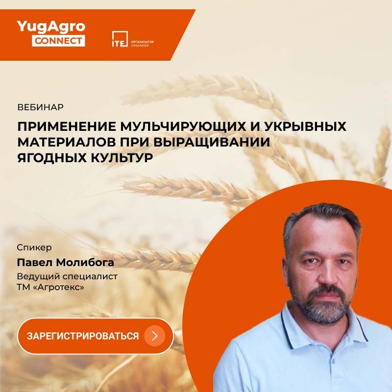 Павел Молибога, ведущий специалист ТМ «Агротекс»
