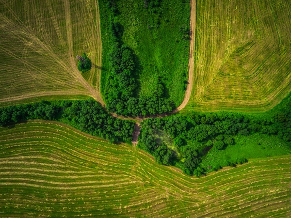 An organic farm in Russia from the sky