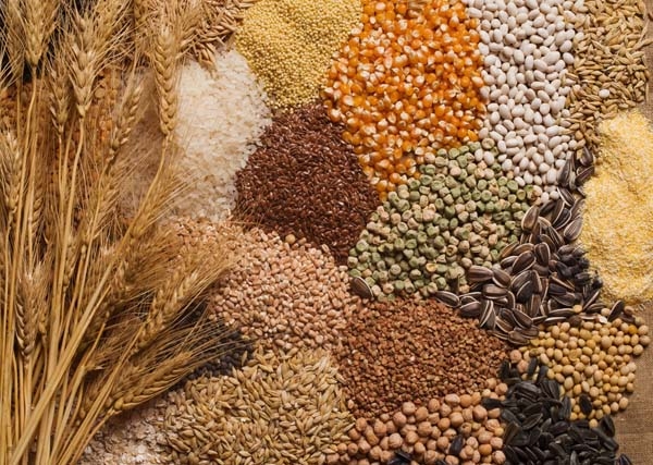 A selection of grains