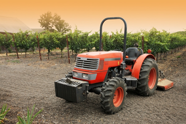 A compact tractor in a vinyard